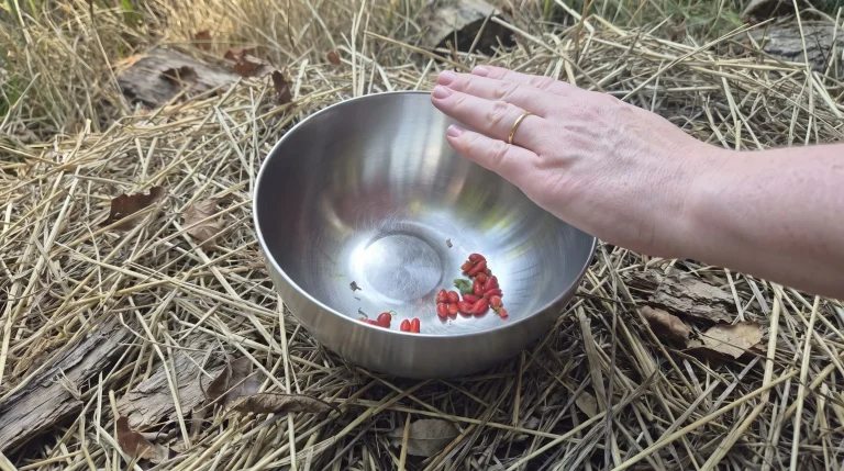 Pomodori piccoli perché non ingrossano: guida diagnostica alle cause fisiologiche e colturali