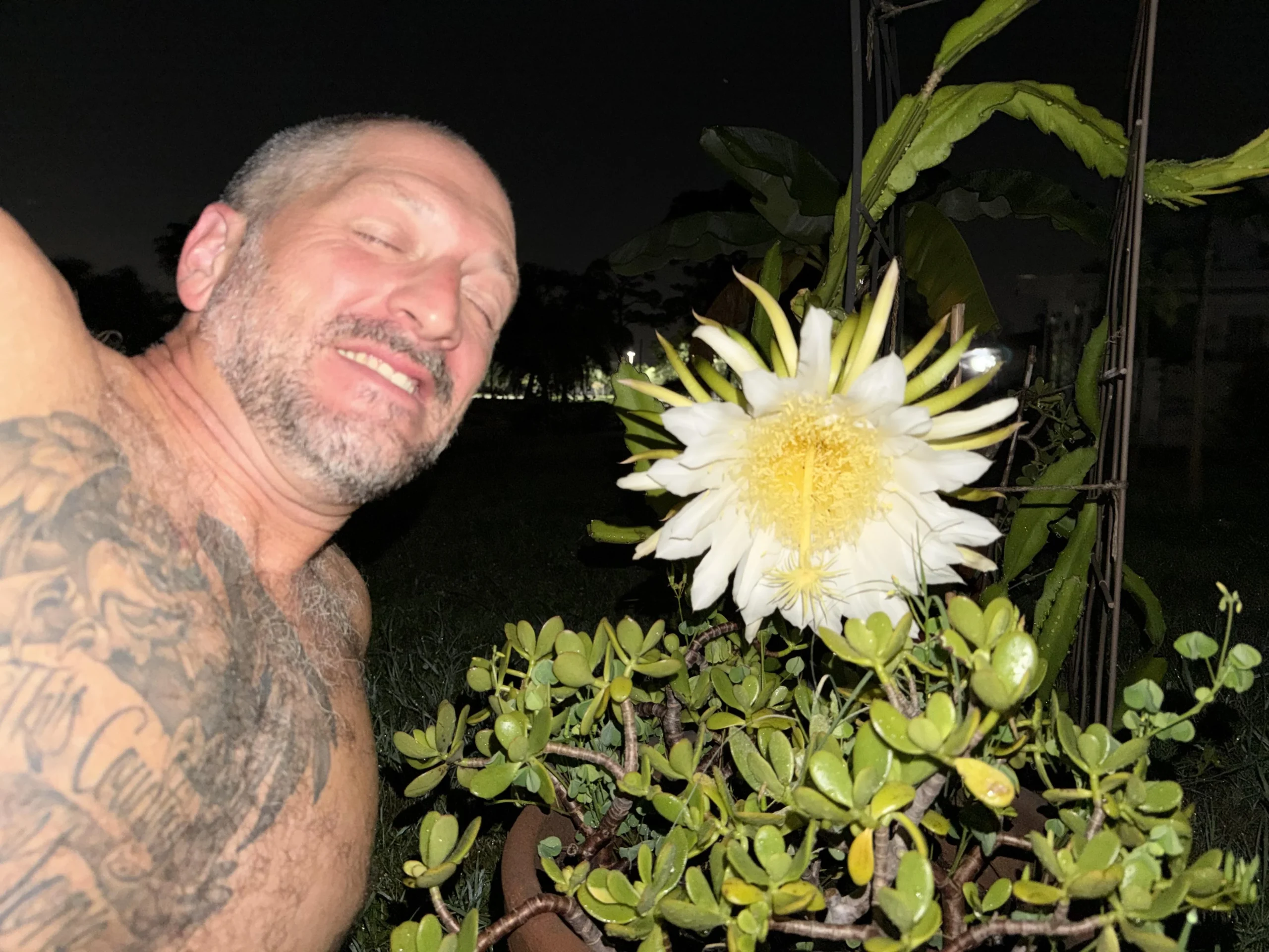 Pitaya, il fiore che si apre una notte sola: guida all'impollinazione manuale in Italia