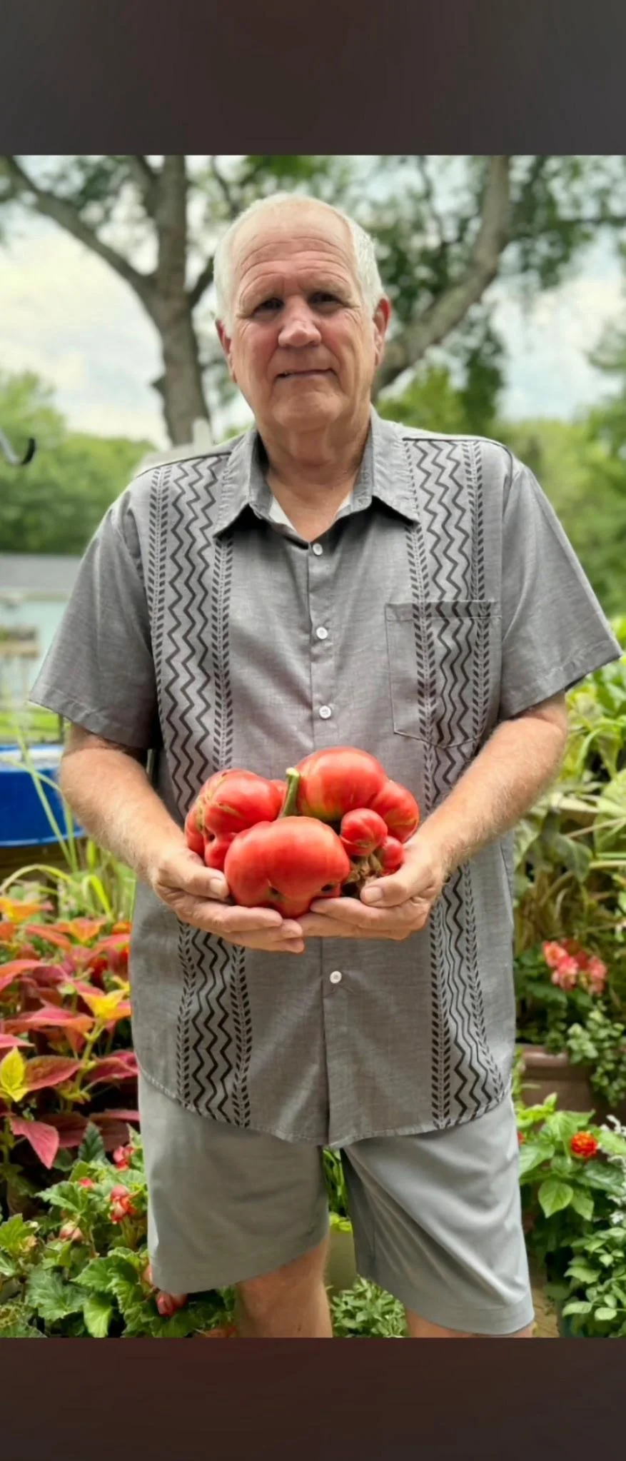 Pomodoro gigante megabloom: il fiore mostruoso che diventa un frutto da oltre un chilo