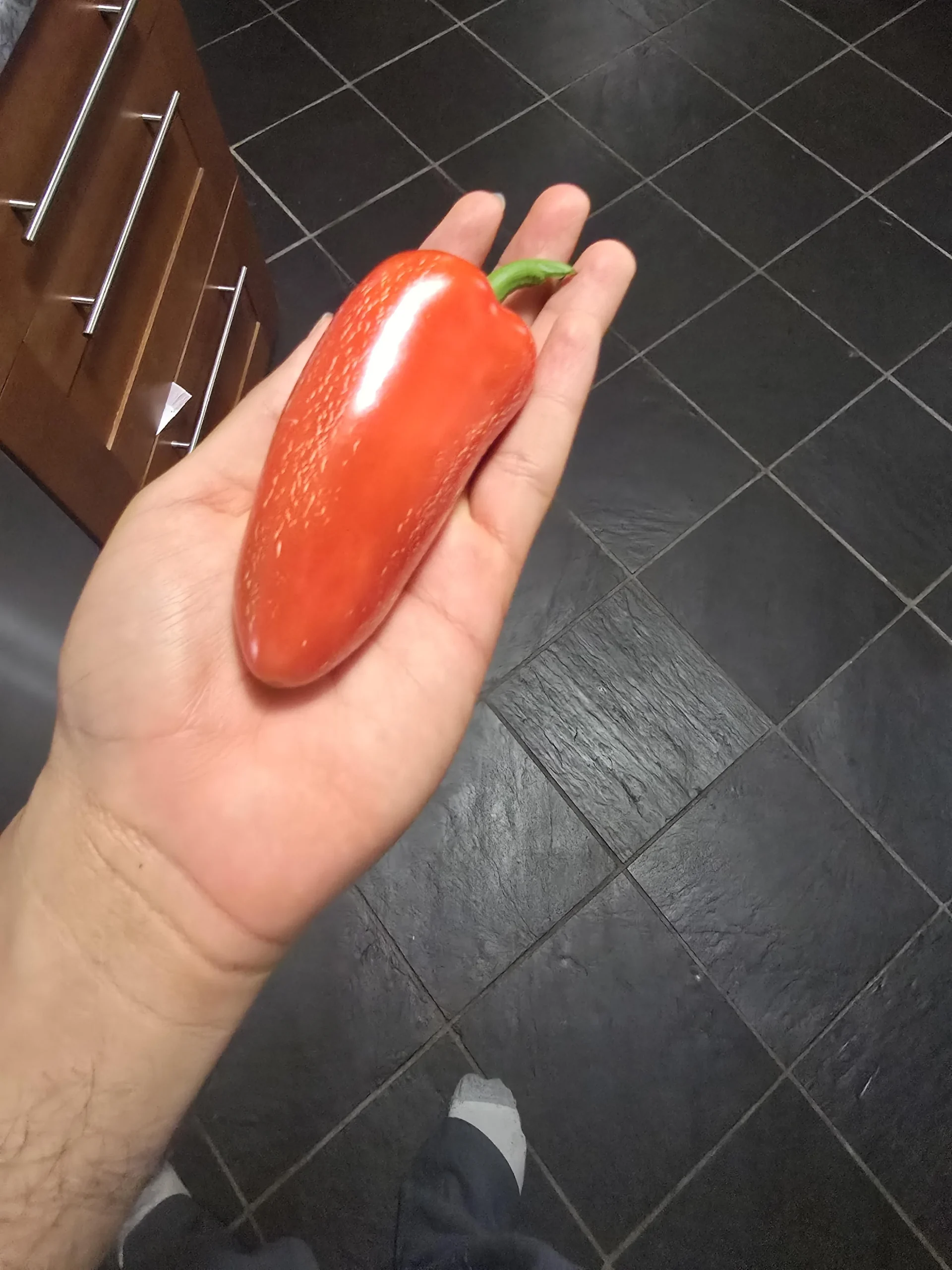 Quando raccogliere i peperoncini: i tre segnali sul frutto che ti dicono se è il momento