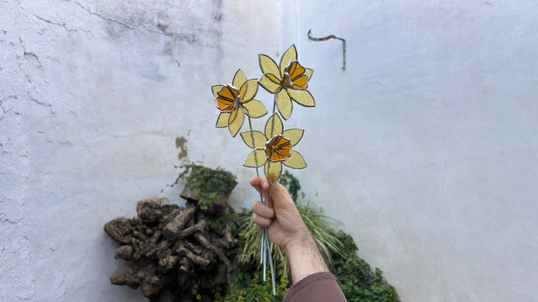 Bulbi di narciso, quando piantarli e come capire quanti fiori faranno già in negozio