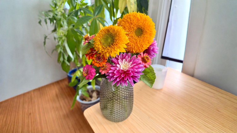 Fiori nani in vaso: il numero sulla bustina decide se staranno in piedi da soli