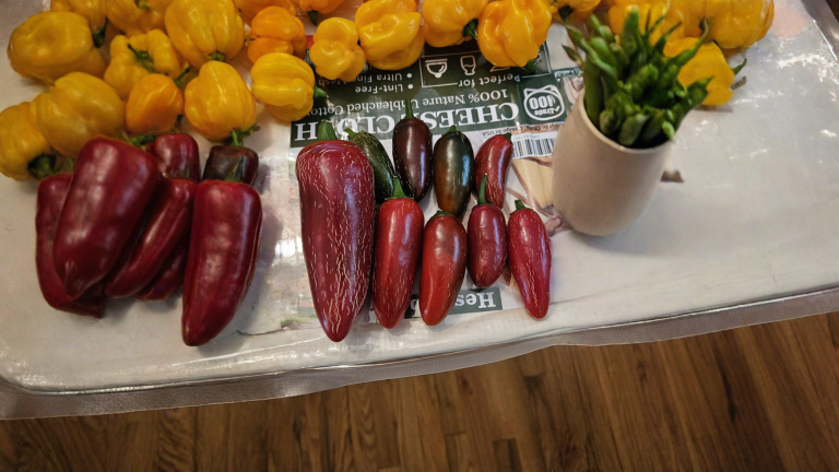 Jalapeño rosso: le righette beige sulla buccia dicono quando raccogliere