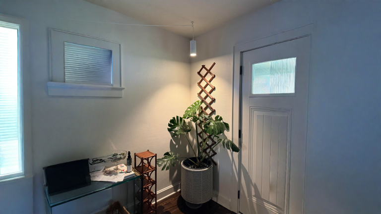 Monstera sotto lampada LED: macchie bianche o marroni? La posizione ti dice la causa
