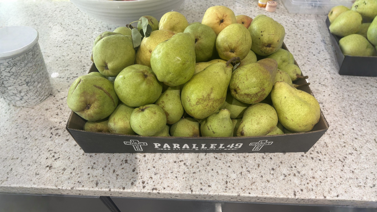 Quando raccogliere le pere: il test dei 90 gradi e il trucco del frigo per averle mature fino a dicembre