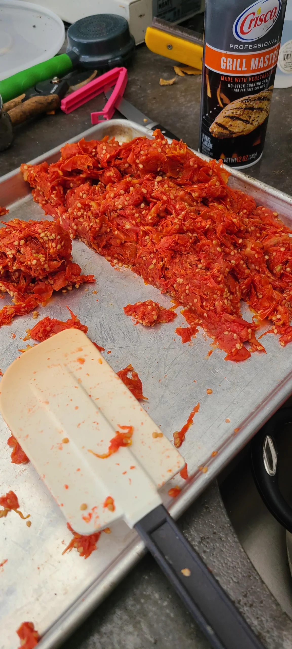 Bucce e semi del pomodoro: come trasformare gli scarti della passata in polvere insaporitore