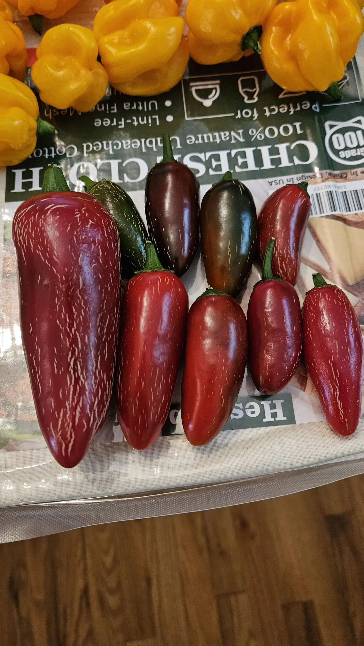 Jalapeño rosso: le righette beige sulla buccia dicono quando raccogliere