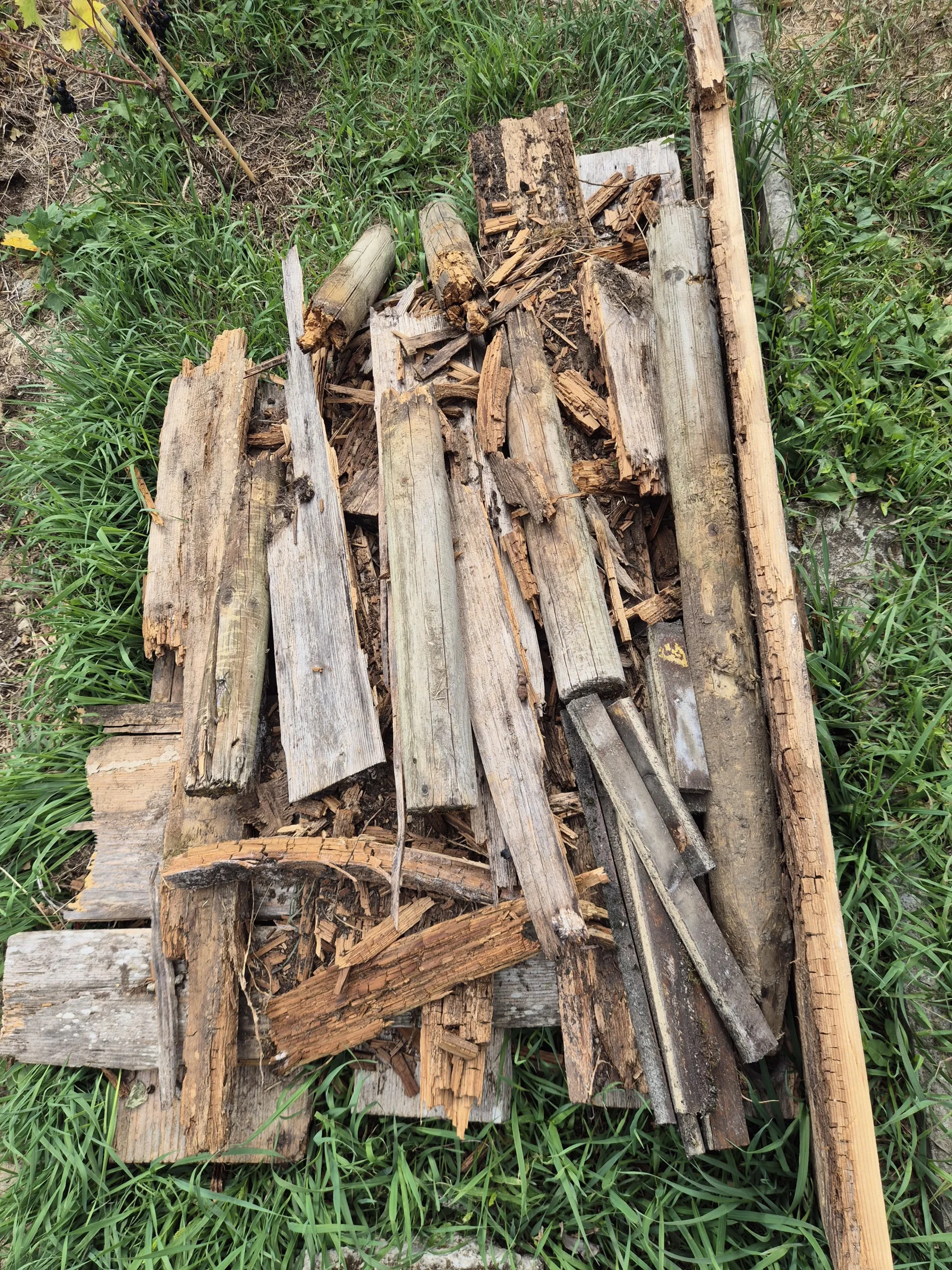 Legno morto in giardino: come costruire una catasta davvero viva (e non un semplice mucchio di legna)