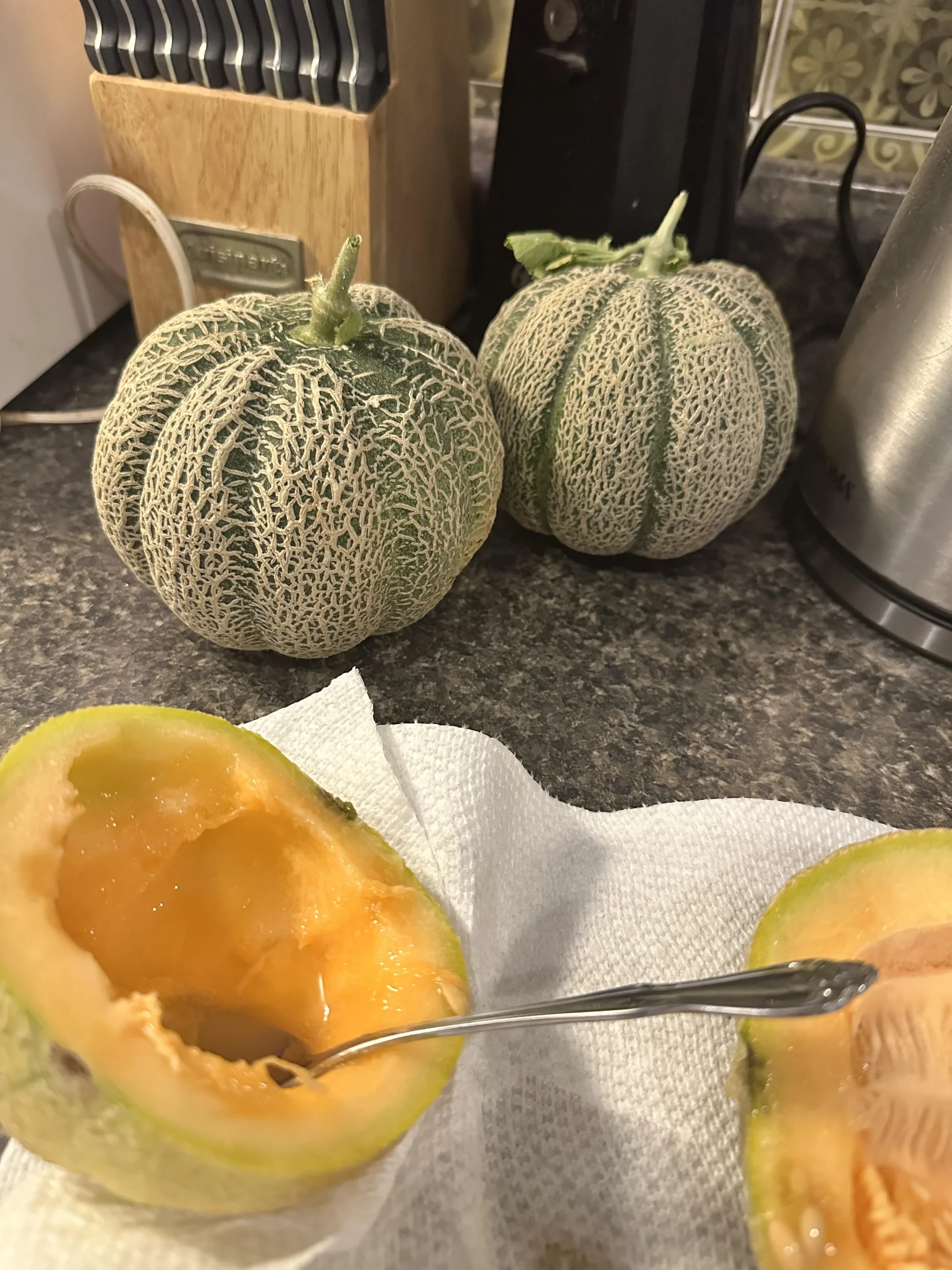 Incrocio zucca melone: perché è impossibile e cos'è davvero quel frutto strano nato dal compost